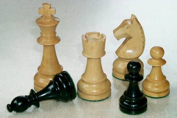 Chess 25